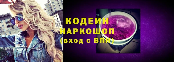 шишки Верея