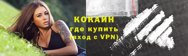 шишки Верея