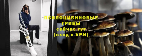 spice Бронницы