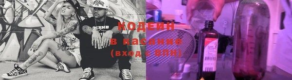 шишки Верея