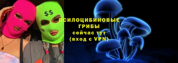 бутират Бородино