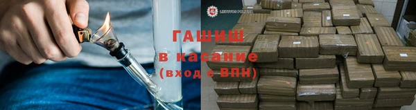 шишки Верея
