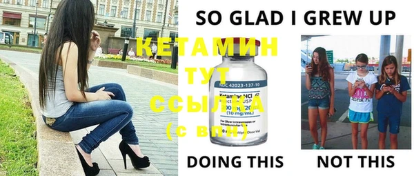 шишки Верея