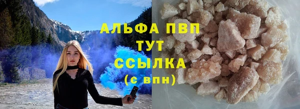шишки Верея