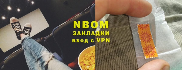 шишки Верея