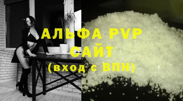 шишки Верея