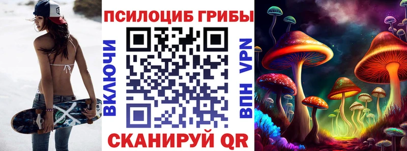 Псилоцибиновые грибы Psilocybine cubensis  blacksprut ссылка  Лодейное Поле 